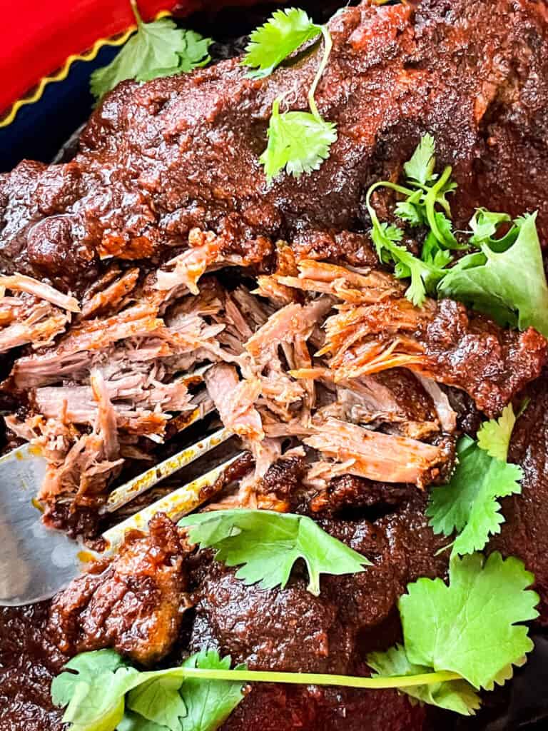 Some Birria de Res and some shredded with cilantro in a bowl