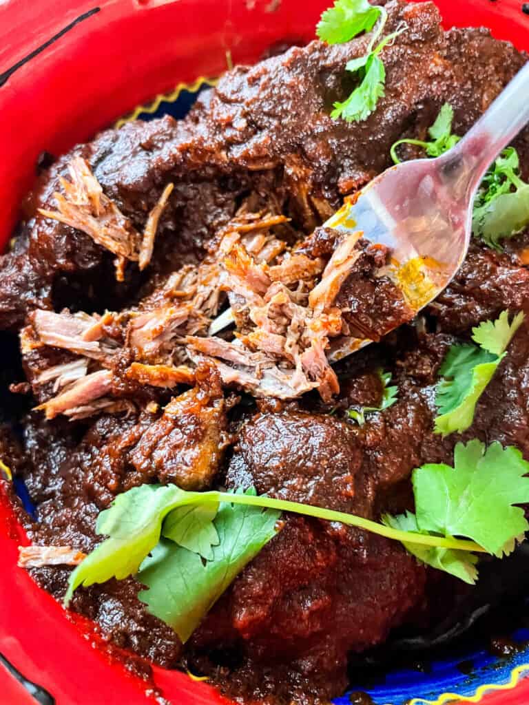 A fork digging into shredded Birria de Res