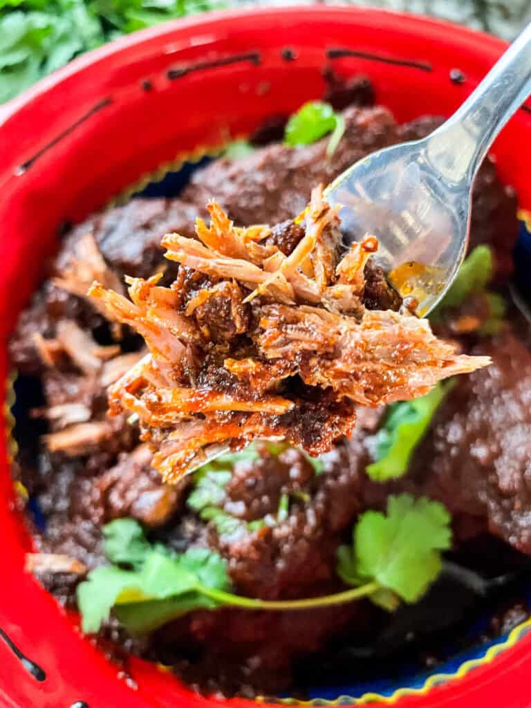 A fork holding some shredded beef above the bowl