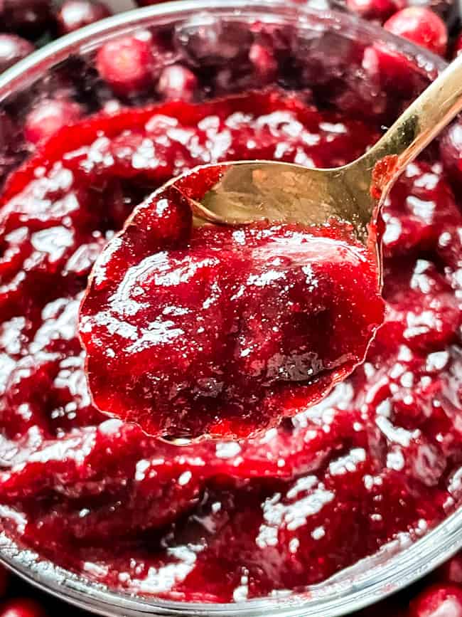A spoon holding some Cranberry Jam above the rest of the bowl