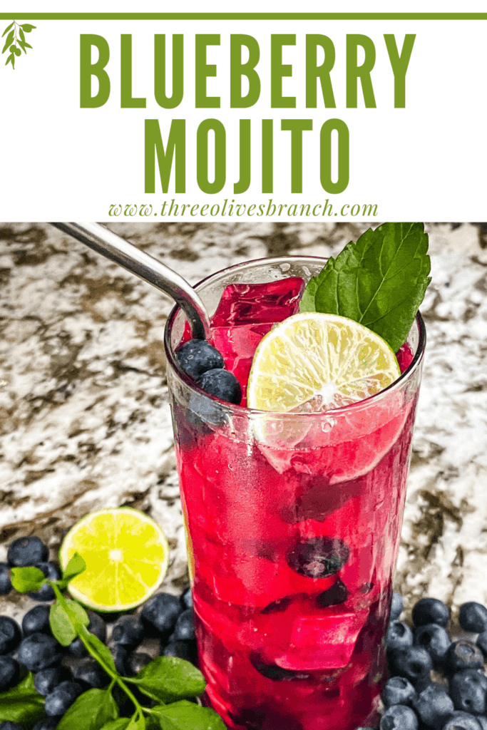 Pin image of bright pink Blueberry Mojito with title at top