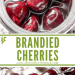 Long pin image for Brandied Cherries with title