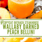 Long pin of Copycat Outback Steakhouse Wallaby Darned Peach Cocktail with title