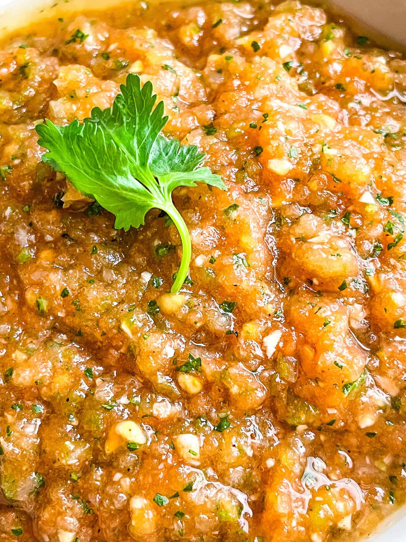 Close up of Ranchera Salsa with a cilantro leaf on top