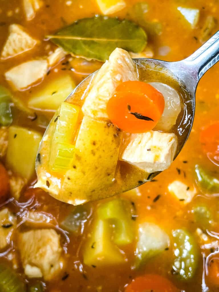 A spoon of the stew hovering over the bowl