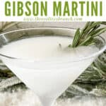 Pin image of Frosted Pine Gibson Martini side view with rosemary in it and title at top