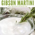Pin image for Frosted Pine Gibson Martini from top view with title at top