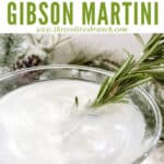 Pin image for Frosted Pine Gibson Martini from top view with title at top