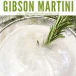 Pin image of Frosted Pine Gibson Martini close up with title at top