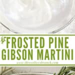 Long pin for Frosted Pine Gibson Martini with title