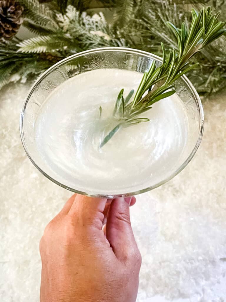 A hand holding a Frosted Pine Gibson Martini