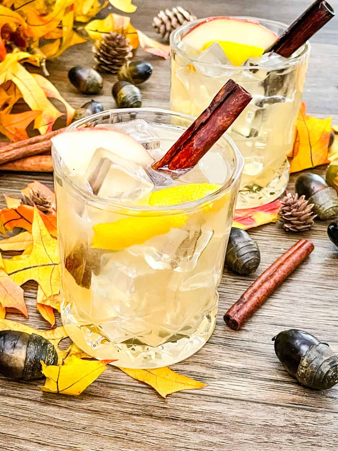 Fall cocktails with cinnamon and leaves around them