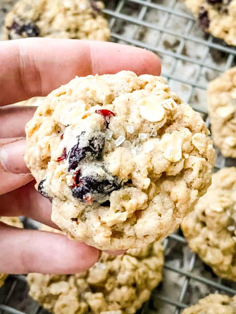 A hand holding a cookie