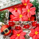 A tin full of Poinsettia Cookies