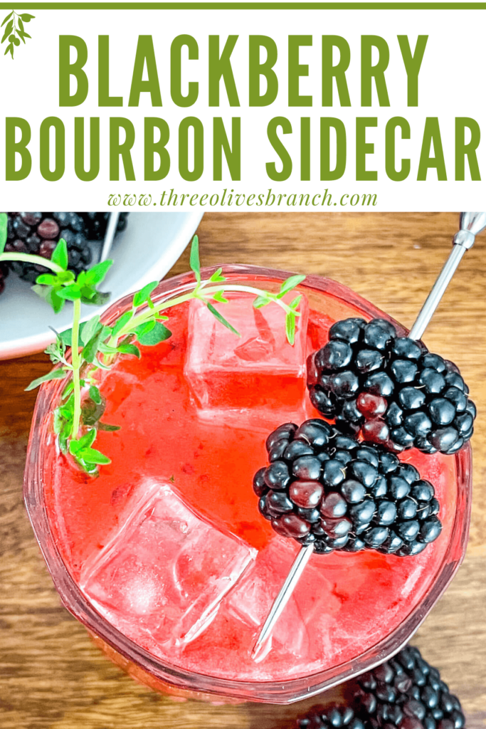 Pin for top view of Blackberry Bourbon Sidecar with title at top