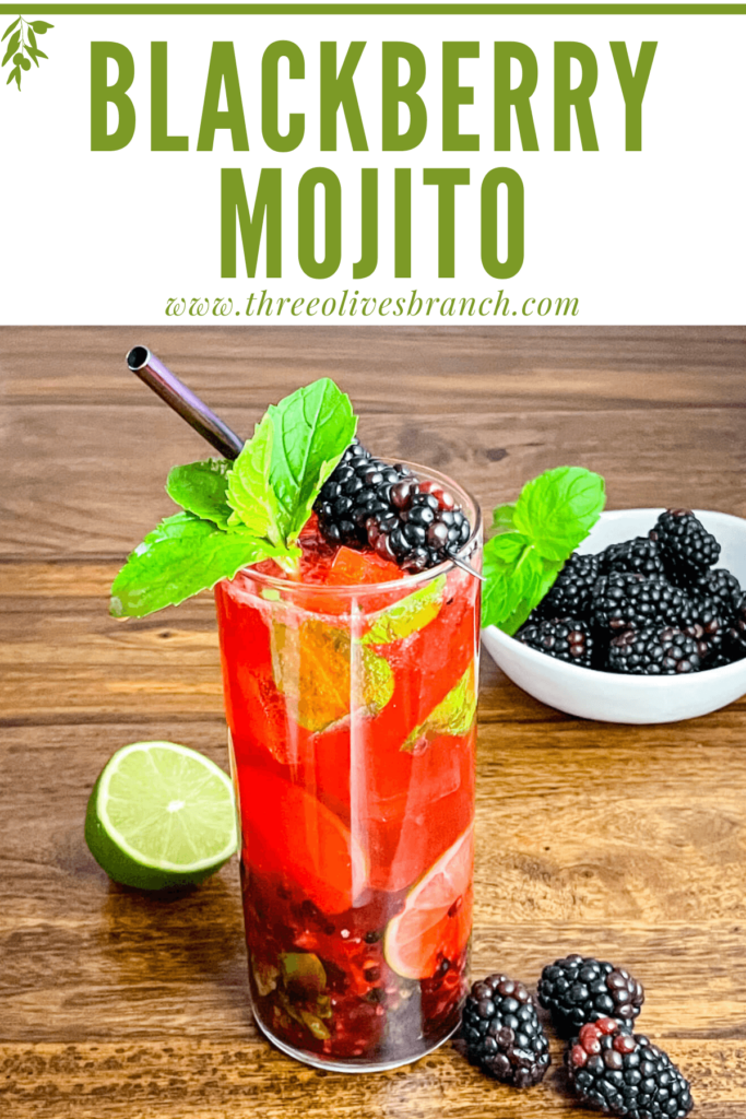 Pin of Blackberry Mojito with title at top