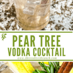 Long pin for Pear Tree Vodka Cocktail with title