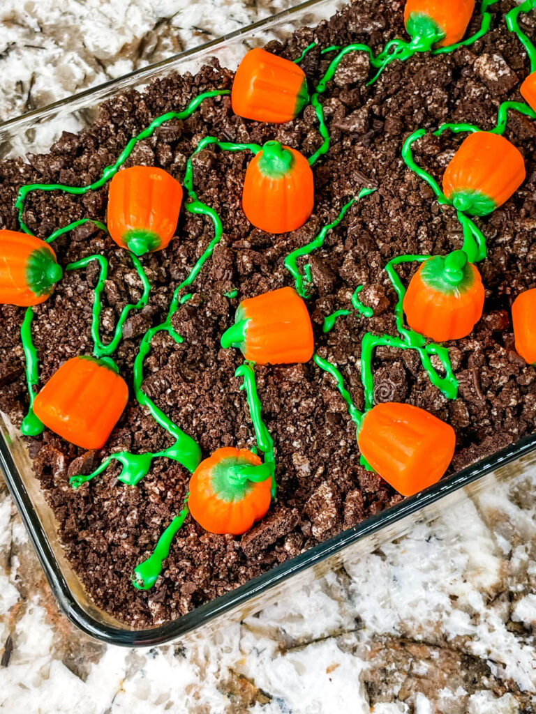 Top view of the pumpkins on cookie dirt