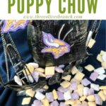 Pin of Minnesota Vikings Puppy Chow around a metal ship with title at top