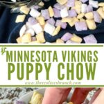 Long pin for Minnesota Vikings Puppy Chow with title in middle