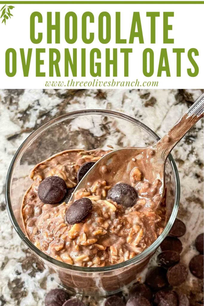 Pin of a spoon scooping into Chocolate Overnight Oats with title at top