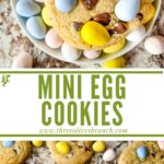 Long pin for Mini Eggs Cookies with title