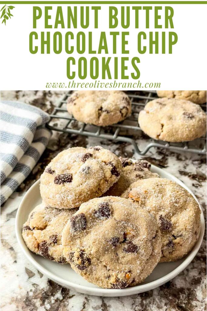 Pin of Chocolate Chip Cookies with Peanut Butter on a small plate with title at top