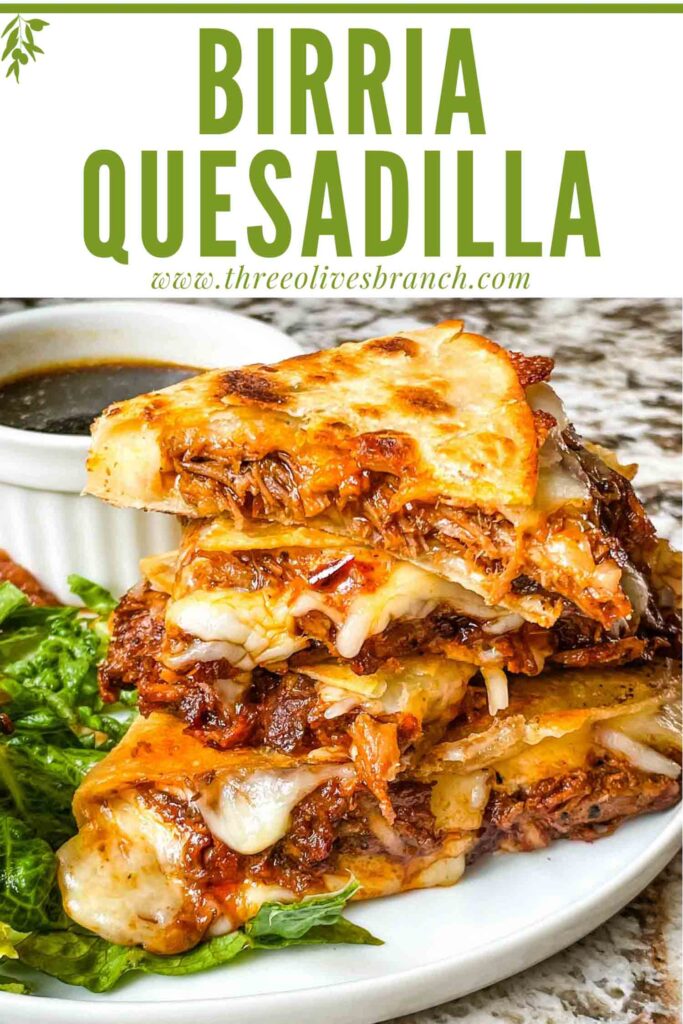 Pin of cut Birria Quesadilla in a stack