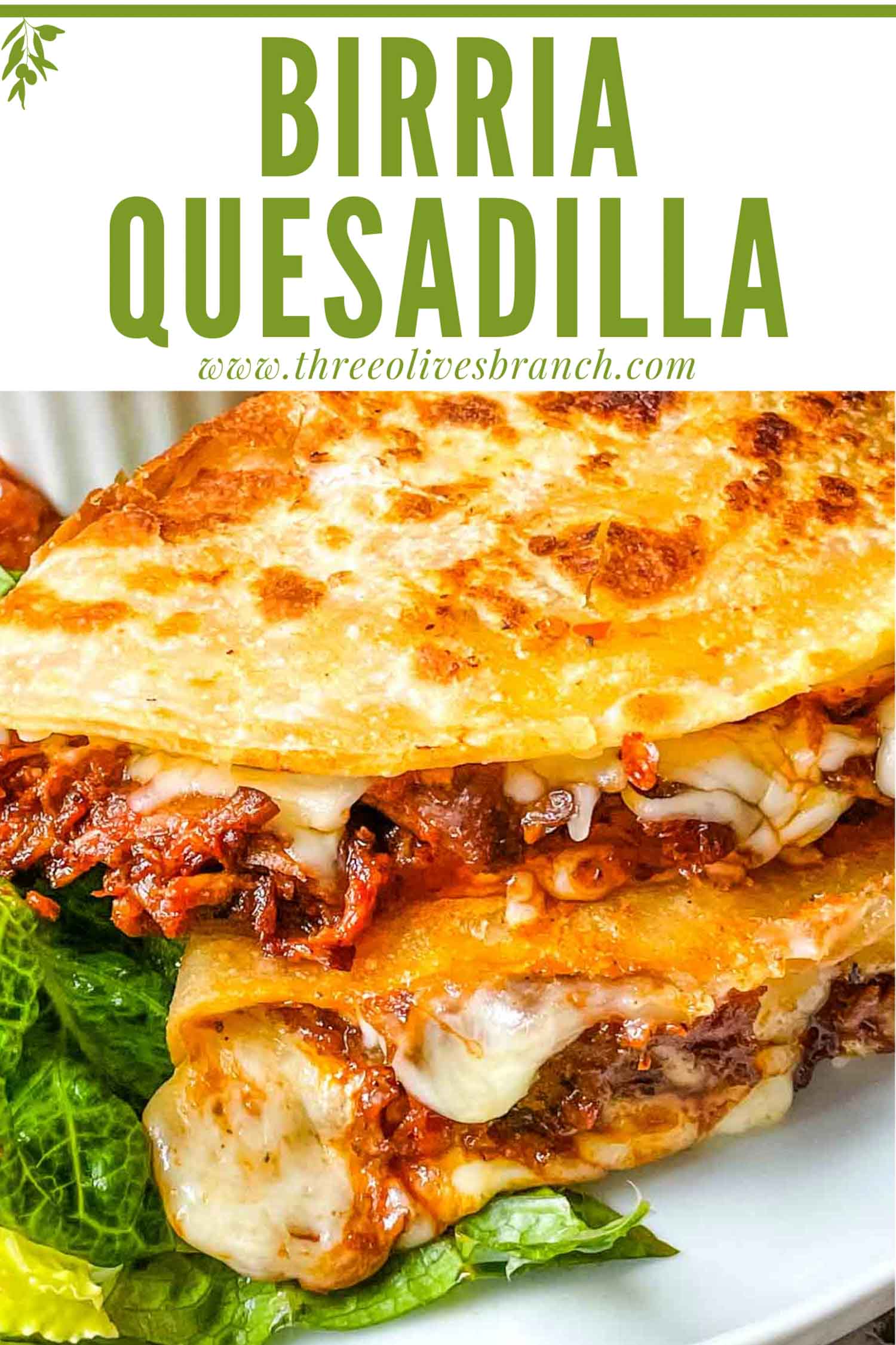 Birria Quesadilla Three Olives Branch