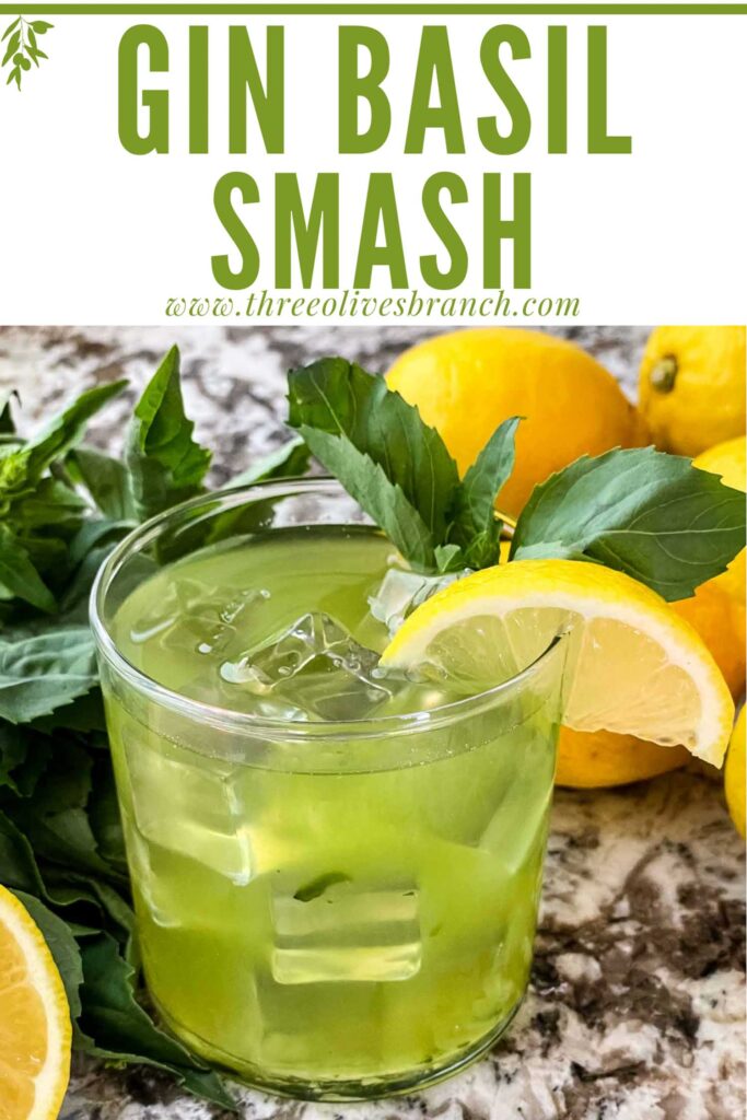 Pin of Gin Basil Smash in a glass with title at top