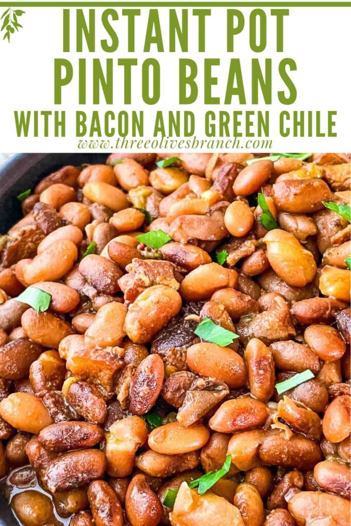 https://www.threeolivesbranch.com/wp-content/uploads/2022/03/instant-pot-pinto-beans-short2-threeolivesbranch-683x1024.jpg