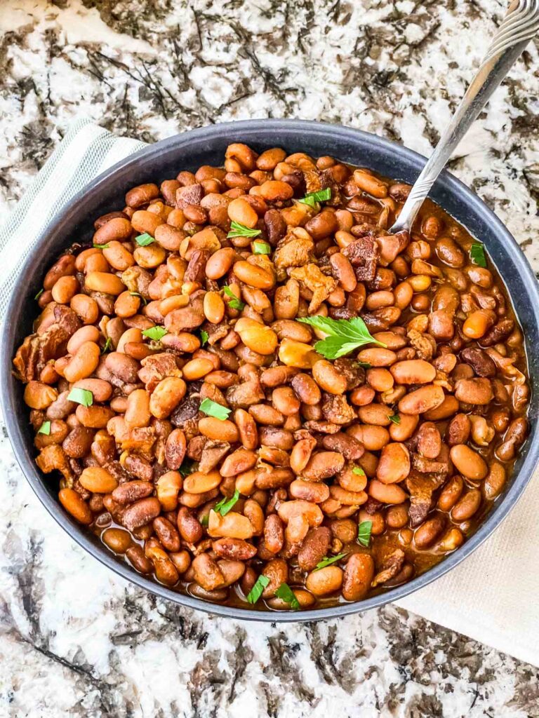 A bowl full of Instant Pot Pinto Beans