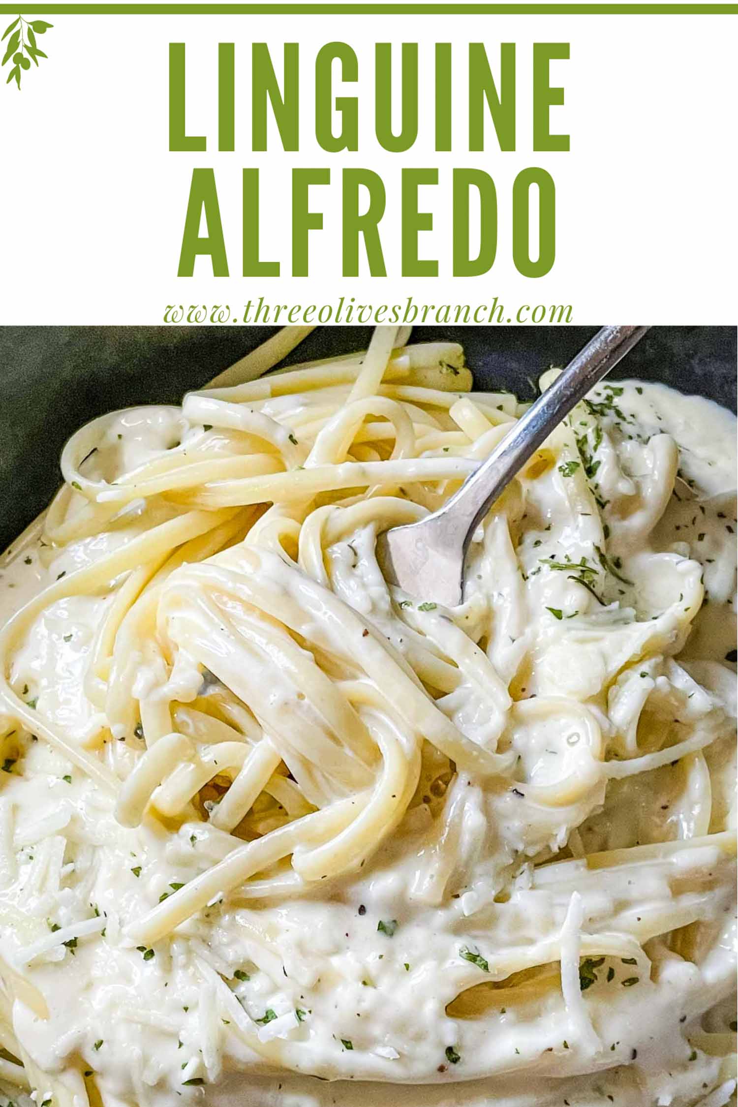 Alfredo Linguine Three Olives Branch
