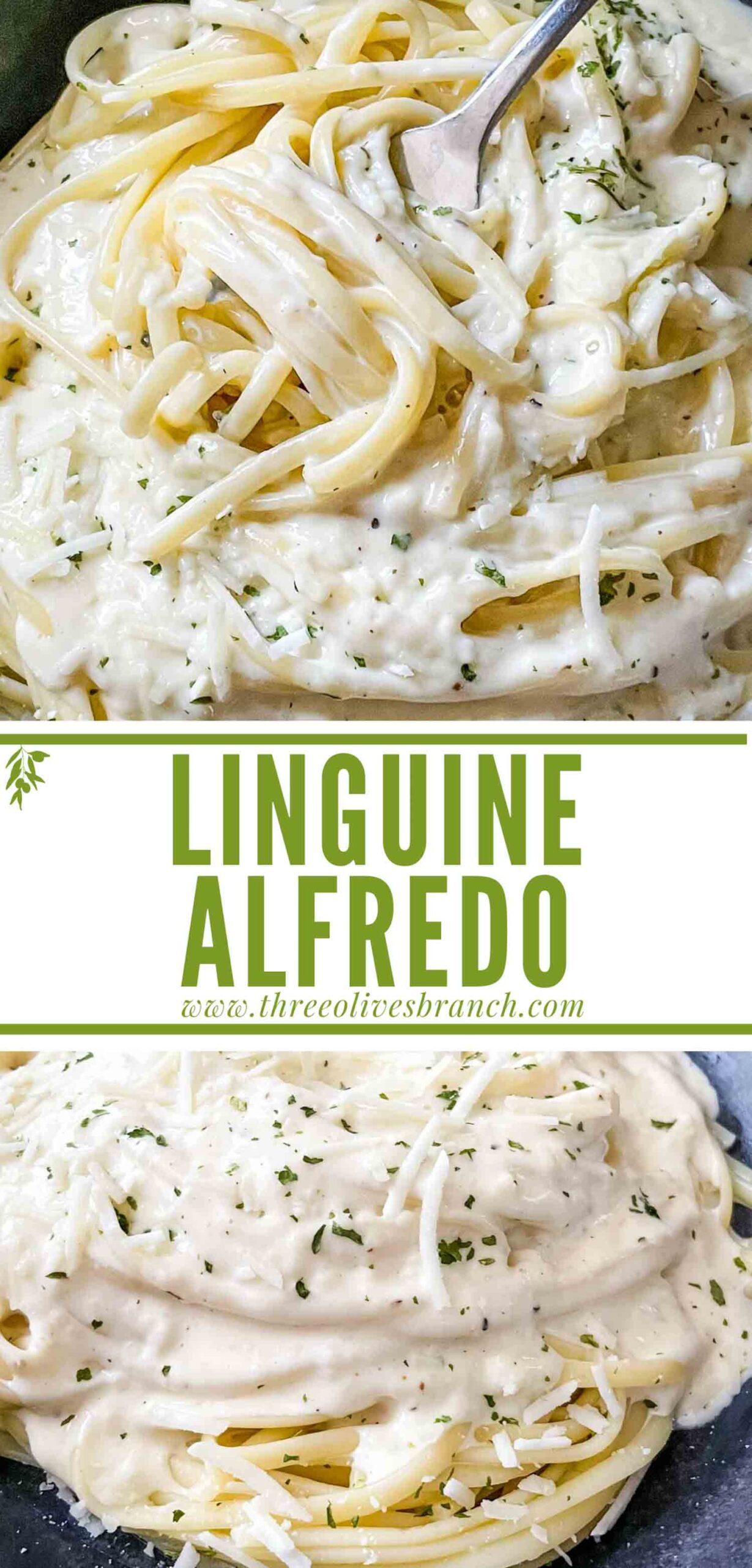 Alfredo Linguine Three Olives Branch