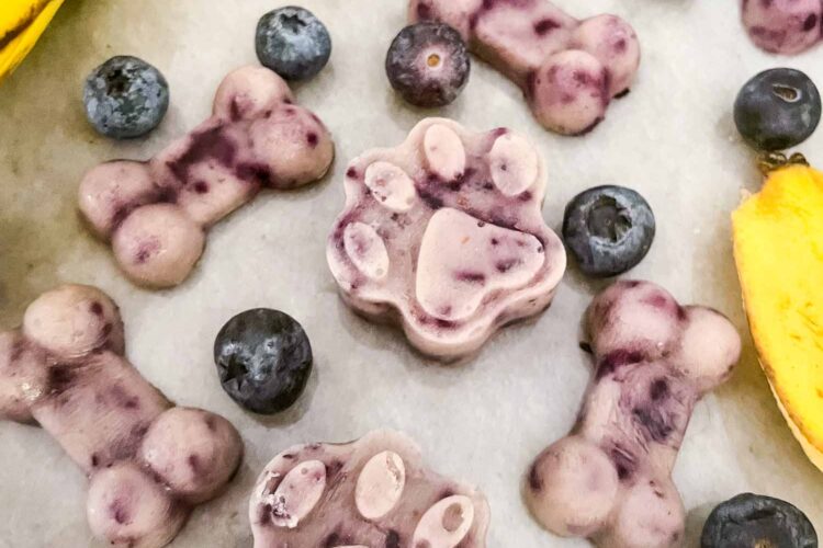 Frozen Blueberry Banana Dog Treats scattered on a counter surrounded by fruit