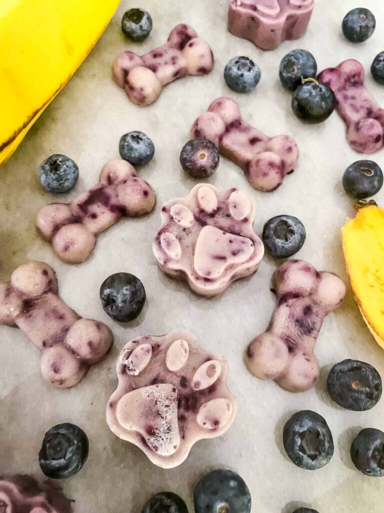 Frozen Blueberry Banana Dog Treats scattered on a counter surrounded by fruit