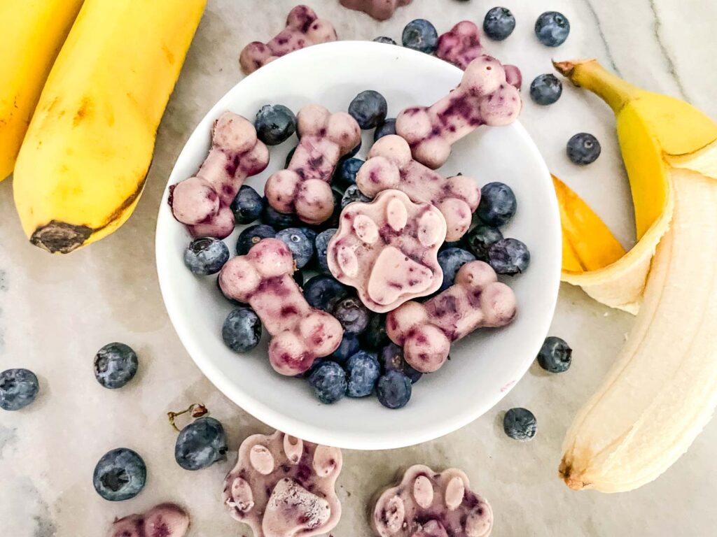 Frozen Blueberry Banana Dog Treats in a white bowl with fruit around it