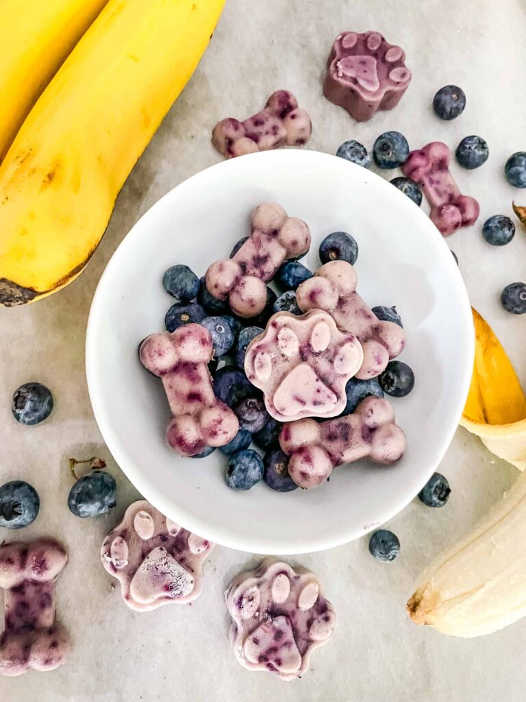 Frozen Blueberry Banana Dog Treats in a white bowl with berries and bananas around it