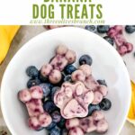 Pin of Frozen Blueberry Banana Dog Treats in a white bowl with title at top
