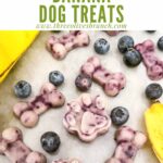 Pin of Frozen Blueberry Banana Dog Treats scattered on a counter with fruit and title at top