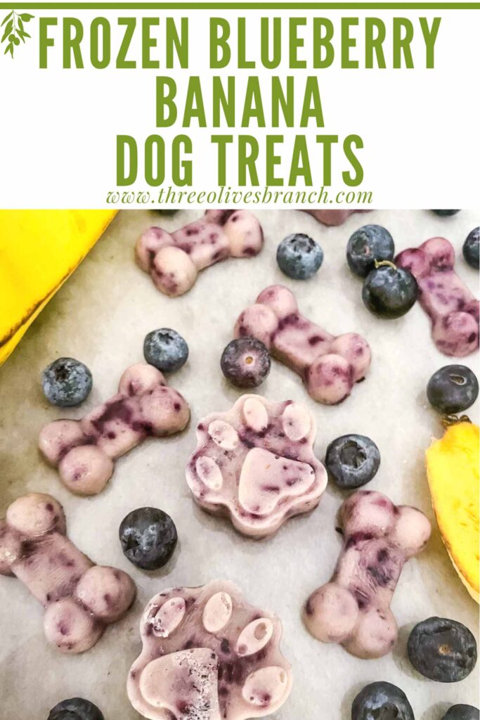 Pin of Frozen Blueberry Banana Dog Treats scattered on a counter with fruit and title at top