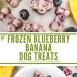 Long pin of Frozen Blueberry Banana Dog Treats with title