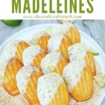 Pin of Key Lime Pie Madeleines on a plate with title at top