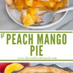 Long pin for Peach Mango Pie with title