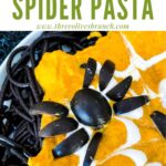 Pin of Spider Spooky Pasta up close with title at top