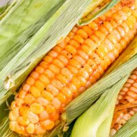 Close up of a Smoked Corn on the Cob in its husk