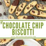 Long pin of Chocolate Chip Biscotti with title