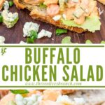 Long pin for Buffalo Chicken Salad with title
