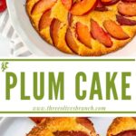 Long pin of Plum Cake with title