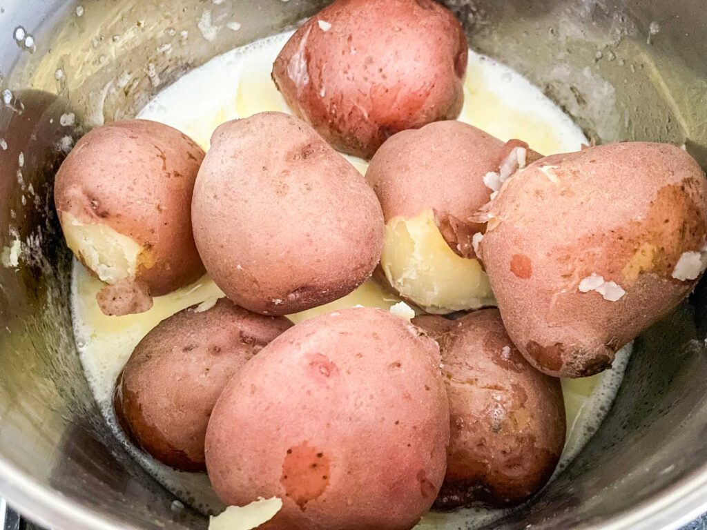 The cooked potatoes added back to the warm milk in a pot